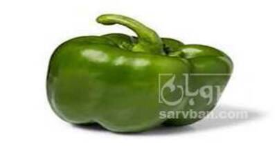 فروش فلفل دلمه ای