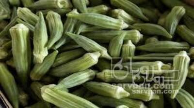 فروش بامیه