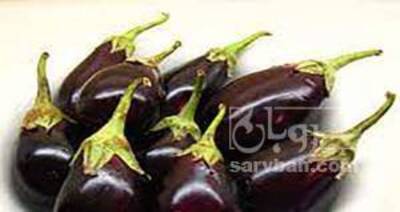 فروش بادمجان