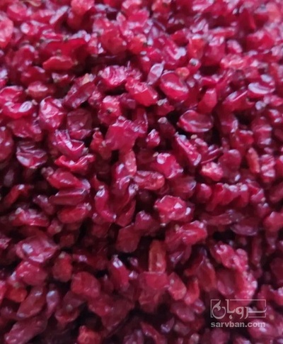 فروش زرشک