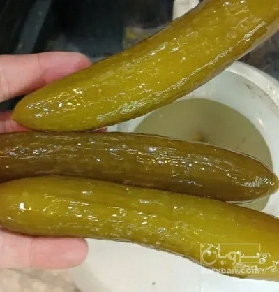 فروش خیار شور ممتاز