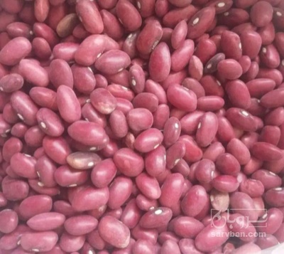 فروش لوبیا قرمز
