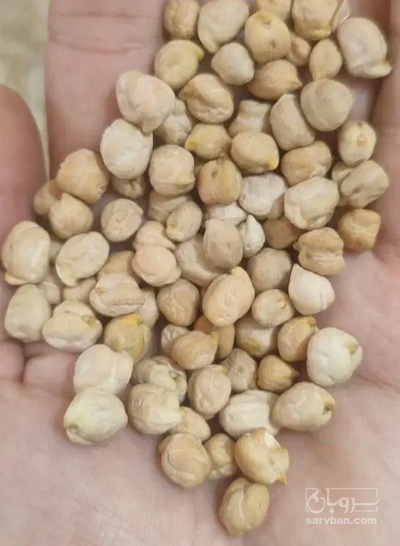 فروش نخود