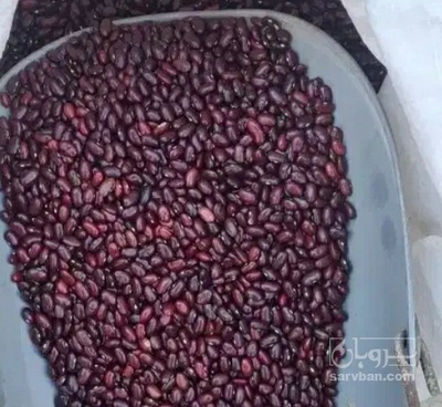 فروش لوبیا قرمز