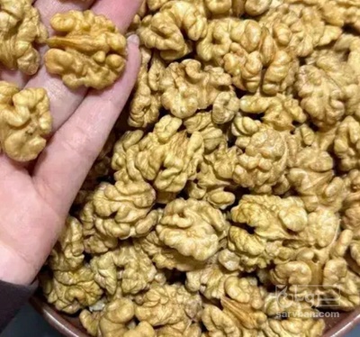 فروش مغز گردو