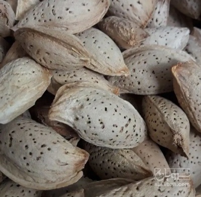 فروش بادام