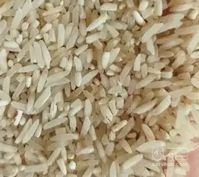 فروش برنج لاشه هاشمی