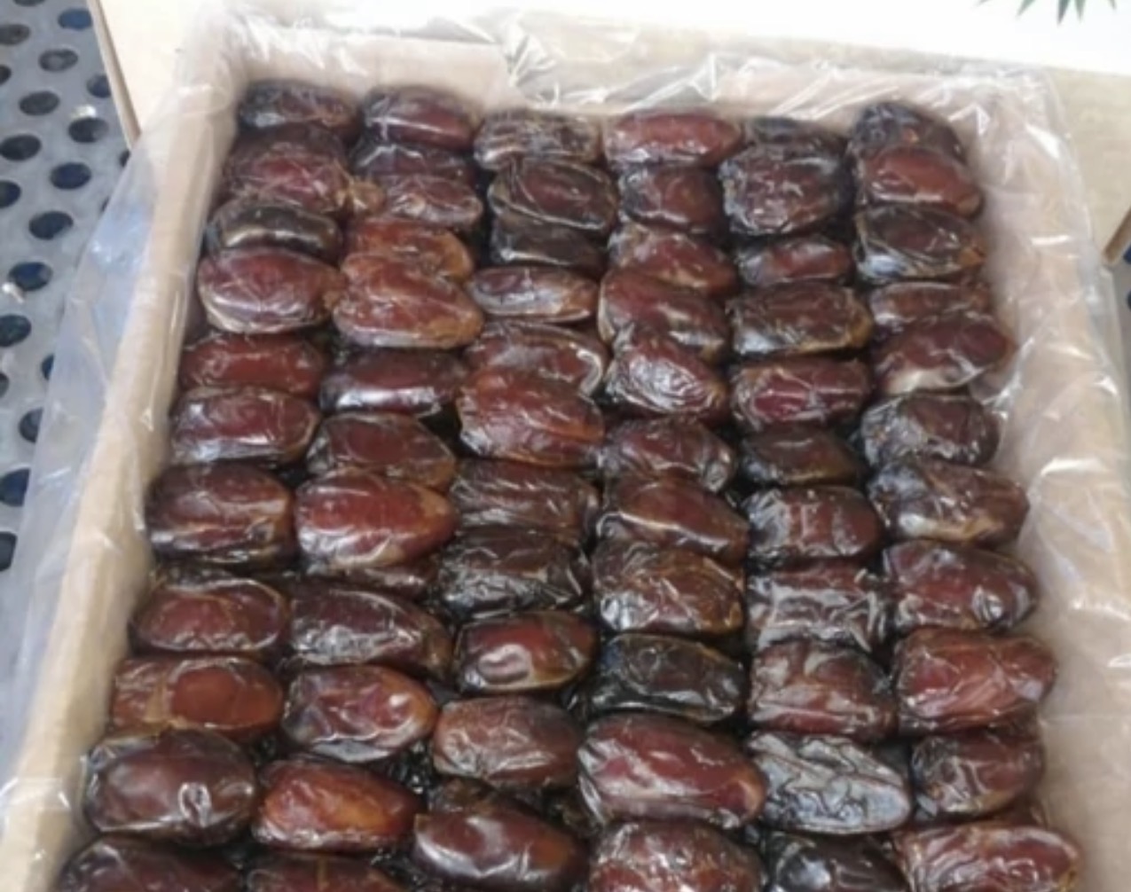 فروش خرماکبکاب