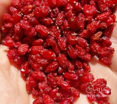 فروش زرشک پفکی