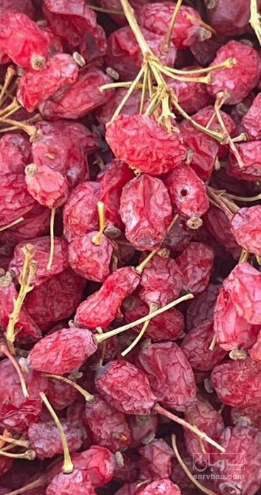 فروش زرشک اناری