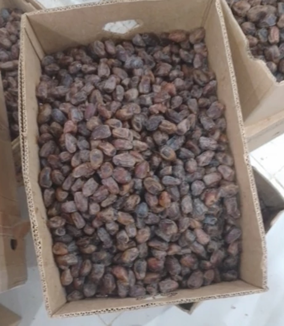 فروش خرماکبکاب