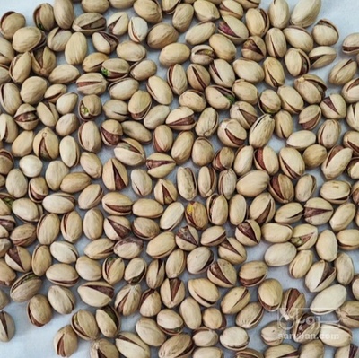 فروش پسته فندقی
