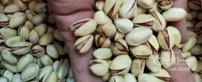 فروش پسته احمد آقایی