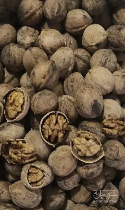 فروش گردو مغز