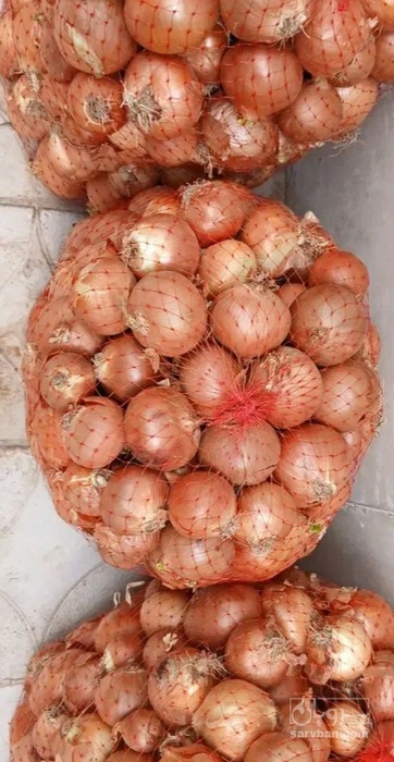 فروش پیاز زرد