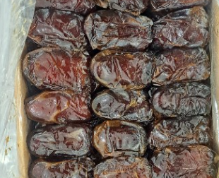 فروش خرما کبکاب
