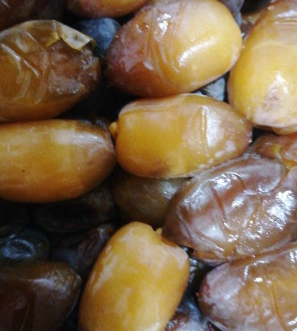 فروش رطب کبکاب
