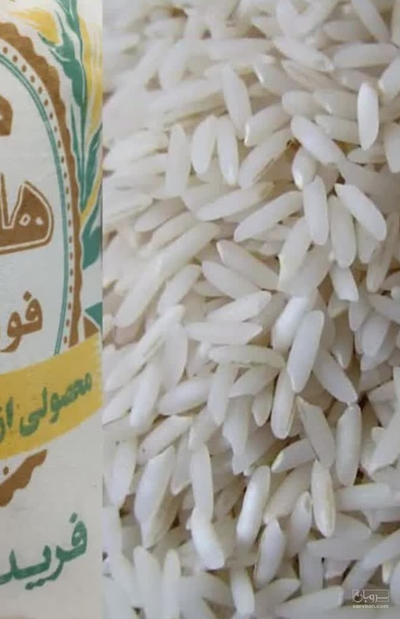 فروش برنج طارم هاشمی