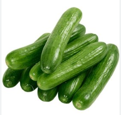 فروش خیار