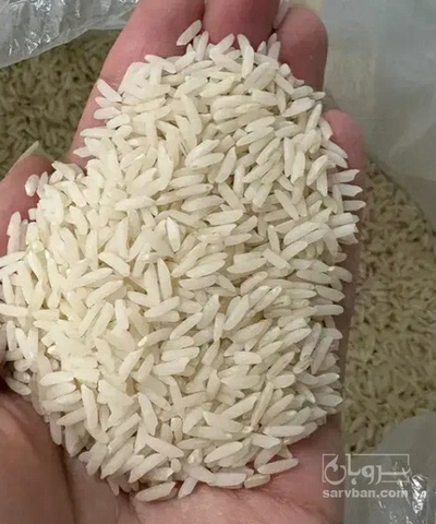 فروش برنج