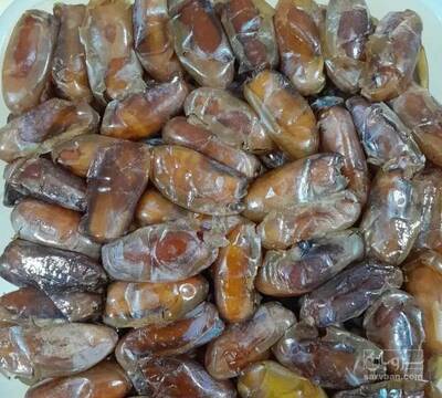 فروش خرما