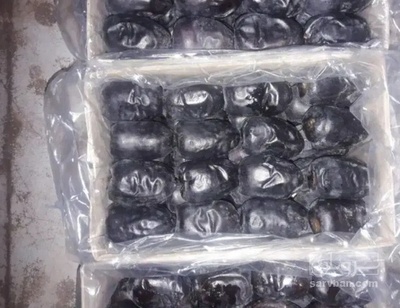 فروش خرما برحی
