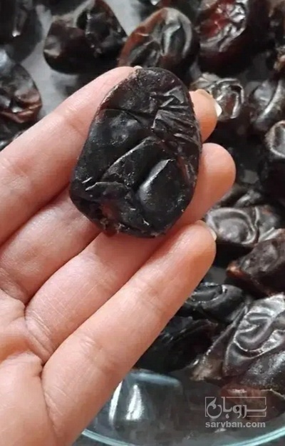 فروش خرما مجول