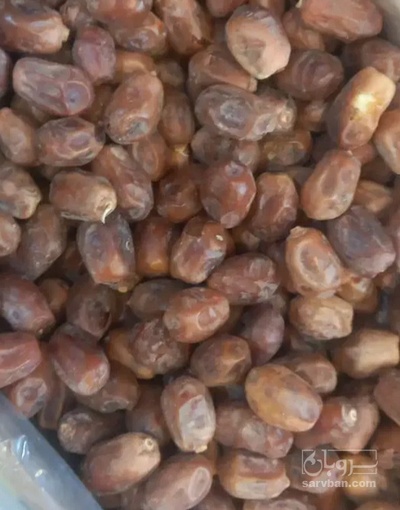 فروش خرما زاهدی