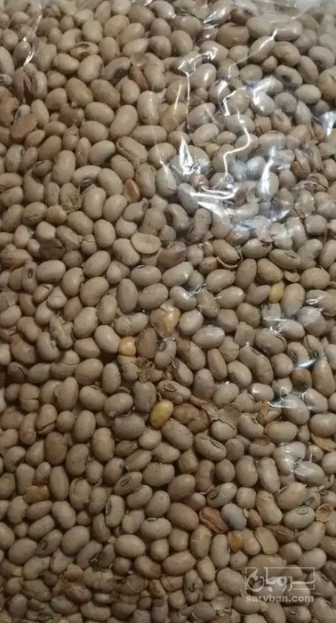 فروش سویا