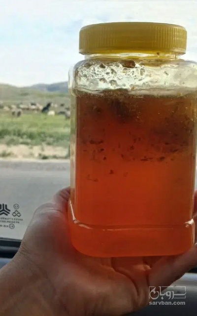 فروش عسل بابونه