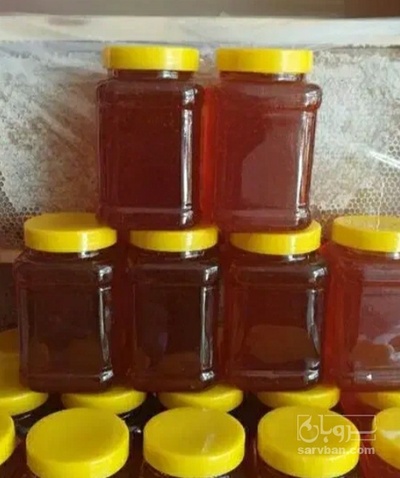 فروش عسل افتابگردان