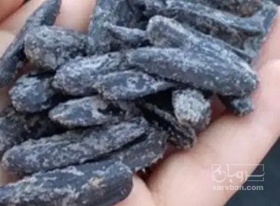 فروش تخمه سیاه