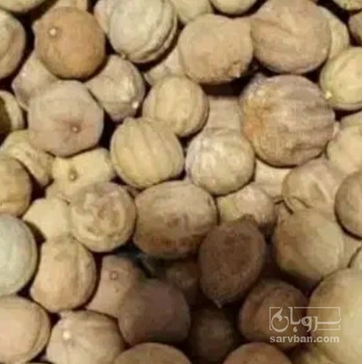 فروش لیمو خشک