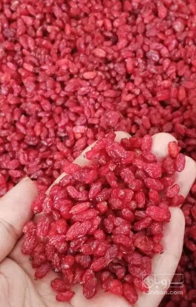 فروش زرشک