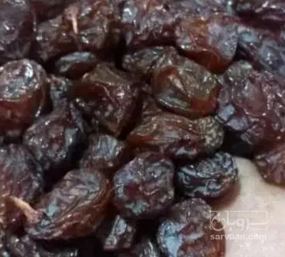 فروش کشمش