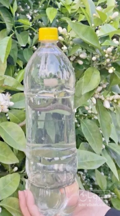 فروش عرق شاتره