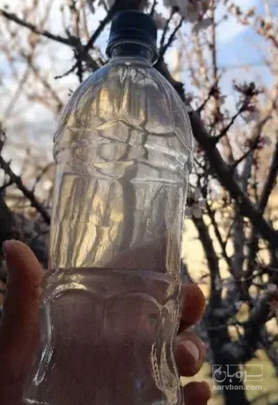 فروش عرق کاسنی