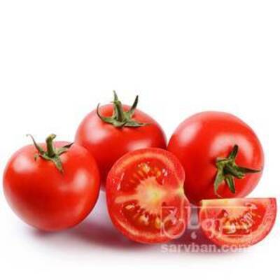 فروش گوجه فرنگی