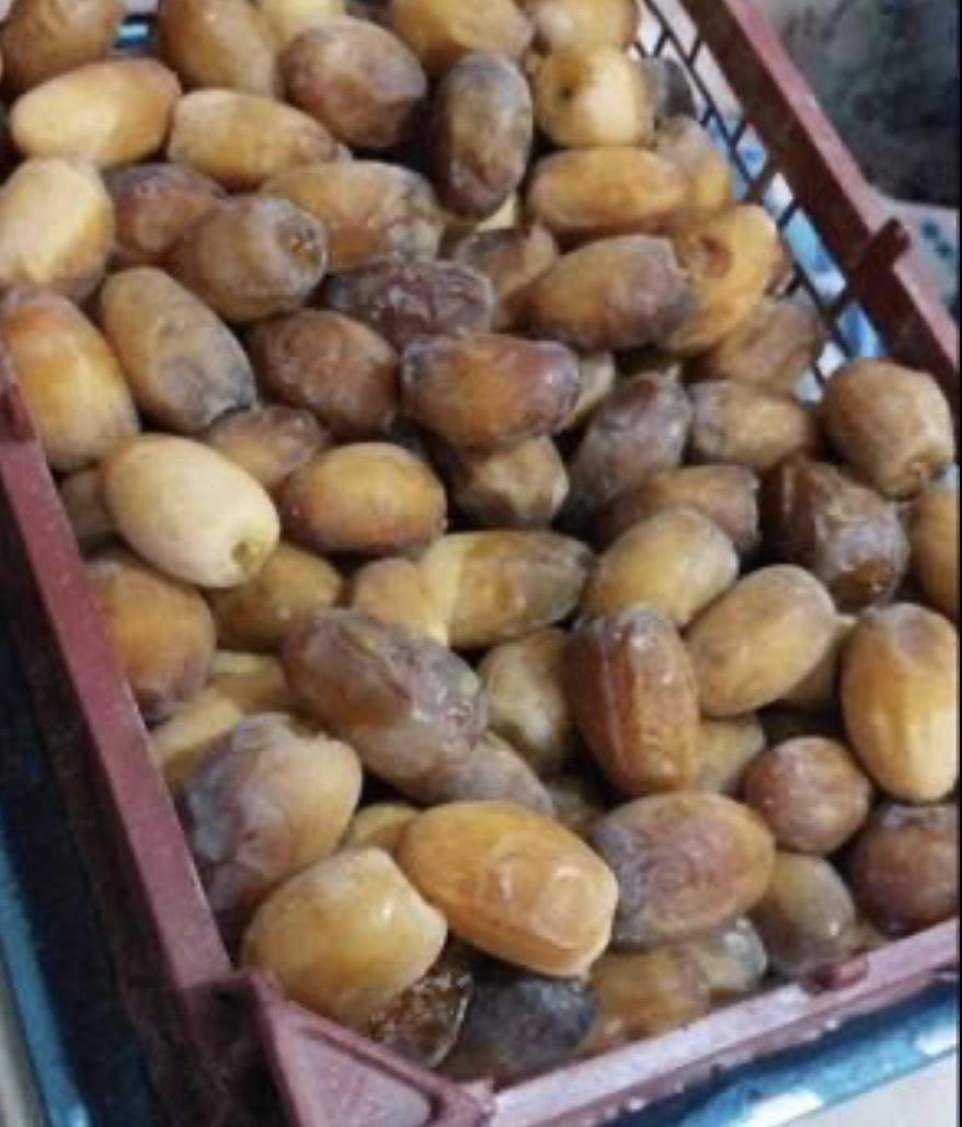 فروش خرما زاهدی