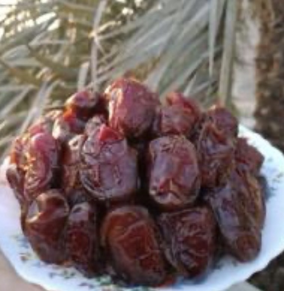 فروش خرماکبکاب
