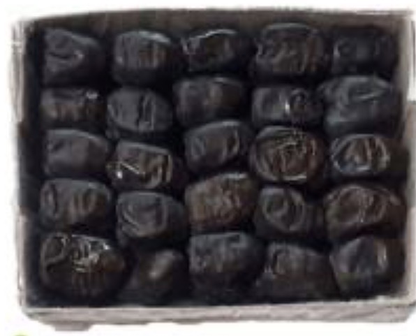 فروش خرمارطب