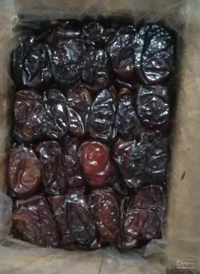 فروش خرما