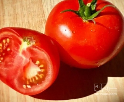 فروش گوجه فرنگی