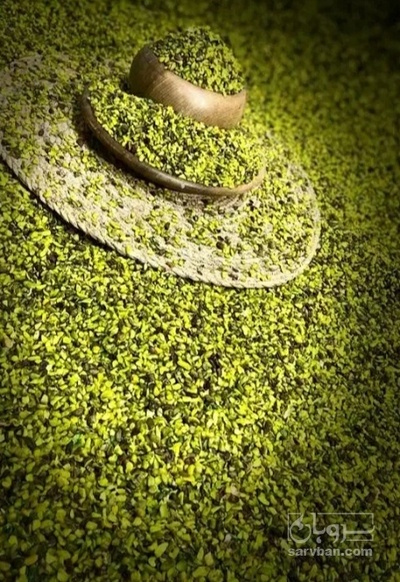 فروش  پودر پسته