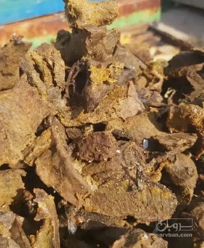 فروش موم و بره موم