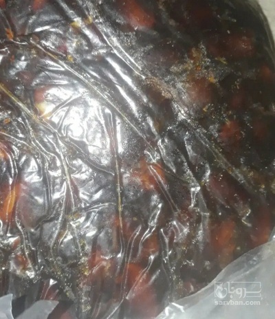 فروش خرما کبکاب