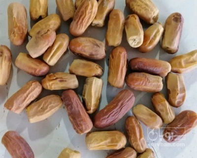 فروش خرما زاهدی