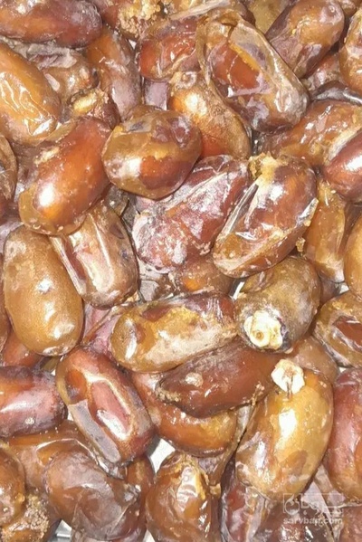 فروش رطب