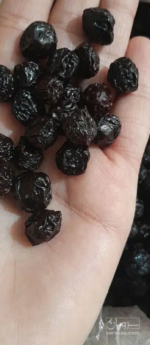 فروش آلبالو خشک