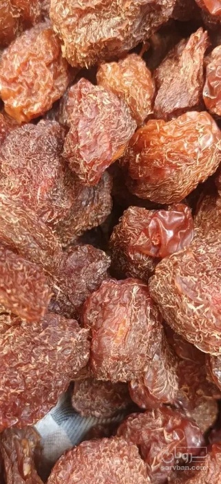 فروش آلو بخارا